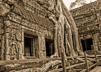 fifteenJan 17 Tues.Visit Angkor Wat, Angkor Thom-Bayon temple and Ta Prohm temple