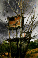 A Great Tree  House