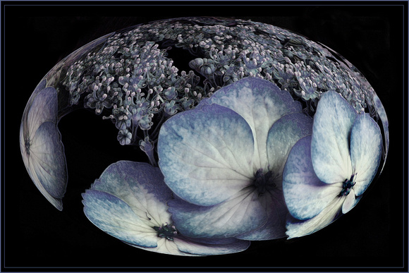 Blue Flora Sphere