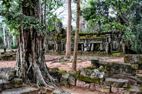 four - Ta Prohm temple