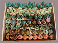 felted succulents 2024